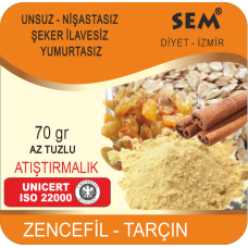 ATIŞTIRMALIK ZENCEFİLLİ -TARÇINLI
