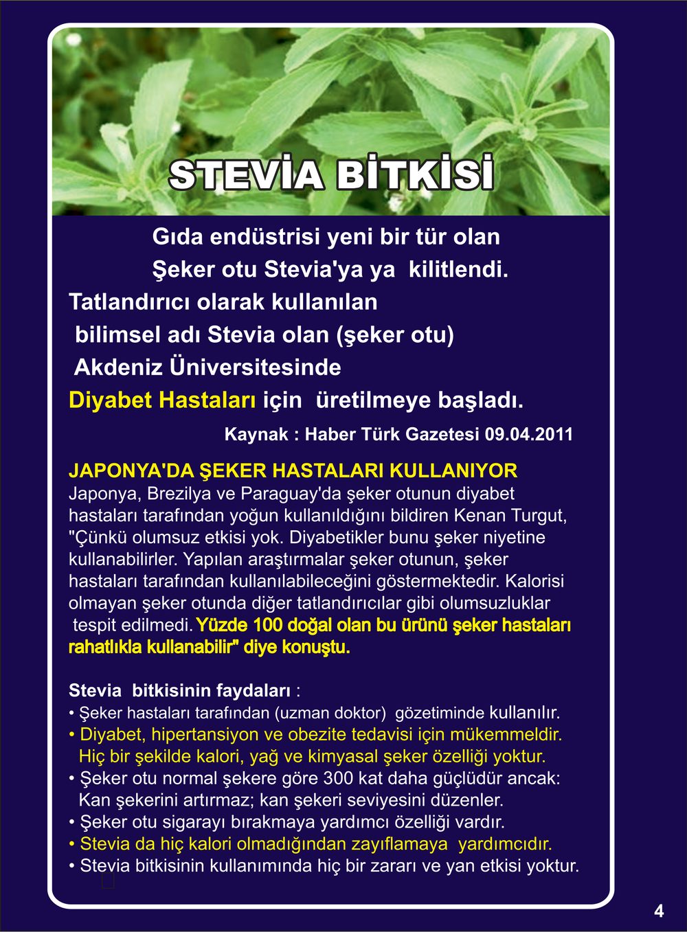 Diyet ve Diyabetik Baklava Bilgilendirme Broşürümüz — sayfa 4